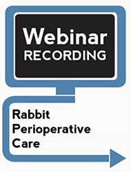 Rabbit Perioperative Care (Webinar Recording)