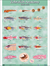 Zebrafish Anatomy Poster