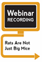 Rats Are Not Just Big Mice (Webinar Recording)