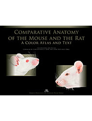 Comparative Anatomy of the Mouse and Rat