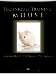 Techniques Training: Mouse