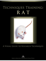 Techniques Training: Rat