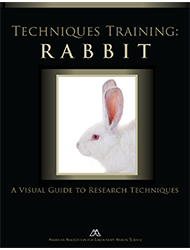 Techniques Training: Rabbit