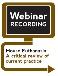 Mouse Euthanasia: A Critical Review of Current Practice (Webinar Recording)
