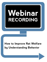 How to Improve Rat Welfare by Understanding Behavior (Webinar Recording)
