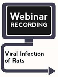Viral Infection of Rats (Webinar Recording)