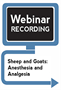 Sheep and Goats: Anesthesia and Analgesia (Webinar Recording)
