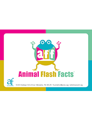 Animal Flash Facts Question Cards