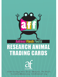 Animal Flash Facts Research Animal Trading Cards