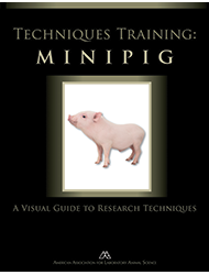 Mini Pig Agility Training Equipment - Mini Pig Training Academy